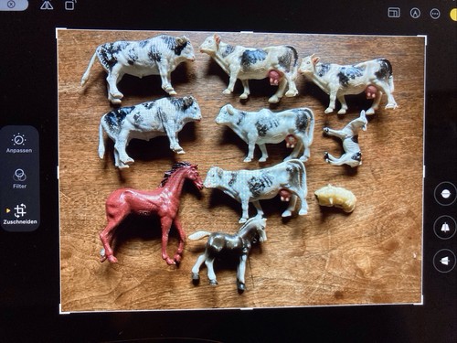 Vintage verschiedene tiere - verschiedene,