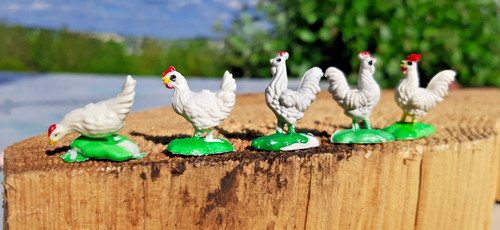 Federvieh huhn henne - federvieh,