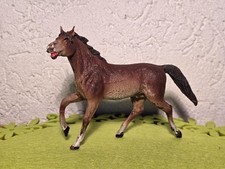 alt Pferd Masse nicht hohl